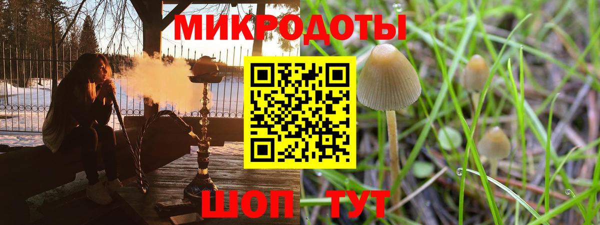 Псилоцибиновые грибы мухоморы Торжок