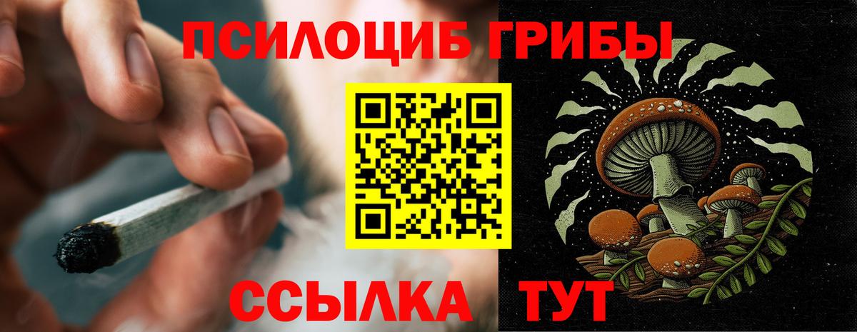 Галлюциногенные грибы MAGIC MUSHROOMS  Галлюциногенные грибы прущие грибы  Вход с VPN  наркотики  Торжок 